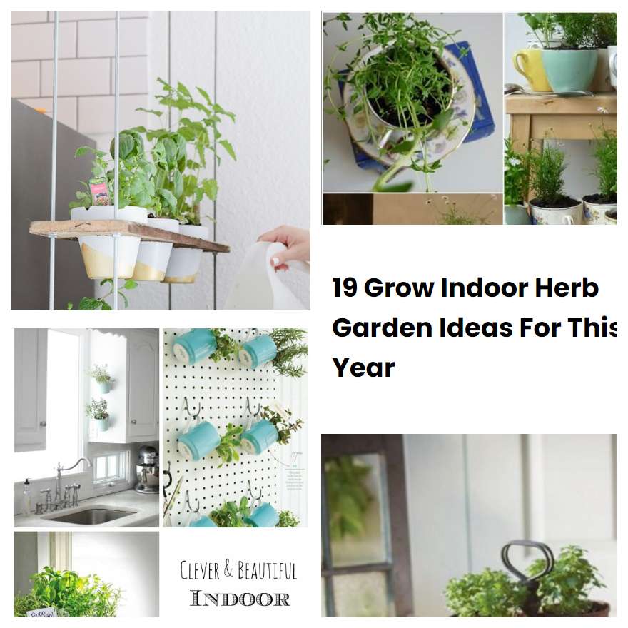 19 Grow Indoor Herb Garden Ideas For This Year SharonSable
