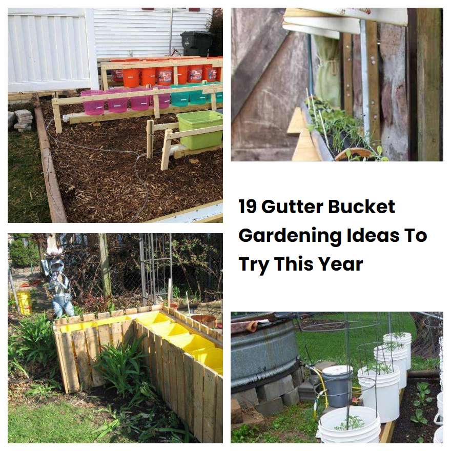 19 Gutter Bucket Gardening Ideas To Try This Year SharonSable