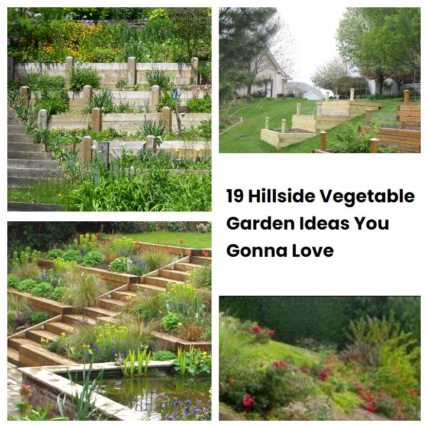 19 Hillside Vegetable Garden Ideas You Gonna Love