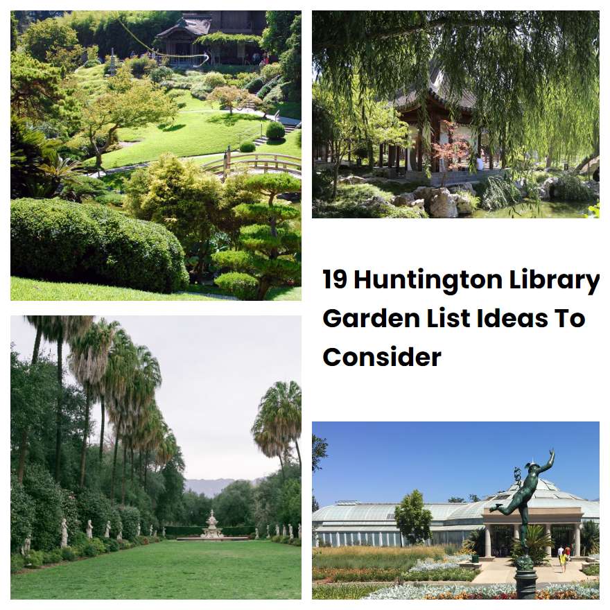 19 Huntington Library Garden List Ideas To Consider