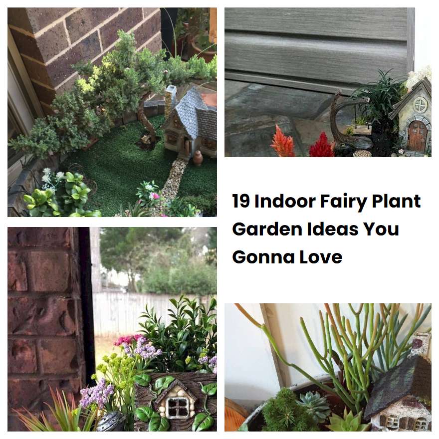 19 Indoor Fairy Plant Garden Ideas You Gonna Love