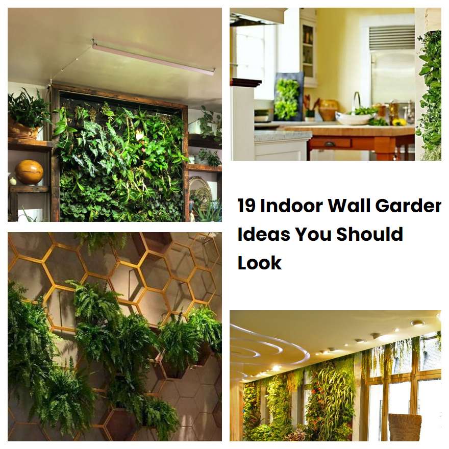 19 Indoor Wall Garden Ideas You Should Look SharonSable