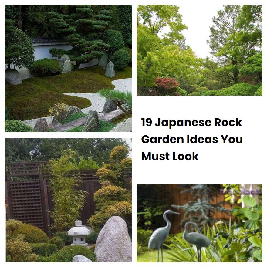 19 Japanese Rock Garden Ideas You Must Look SharonSable