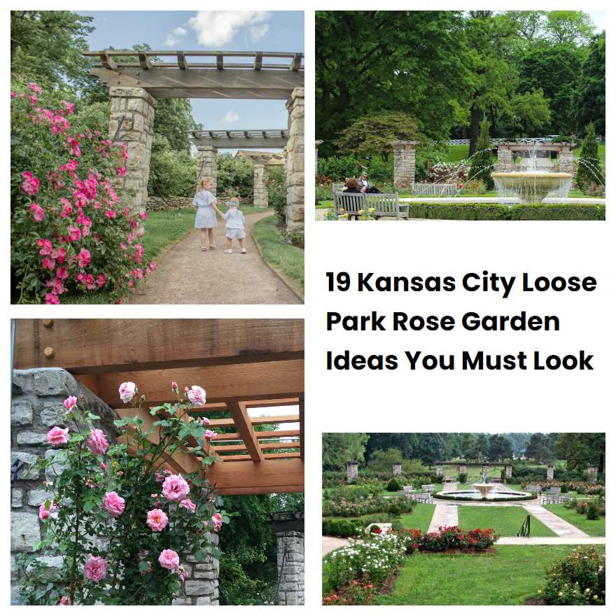 19 Kansas City Loose Park Rose Garden Ideas You Must Look SharonSable