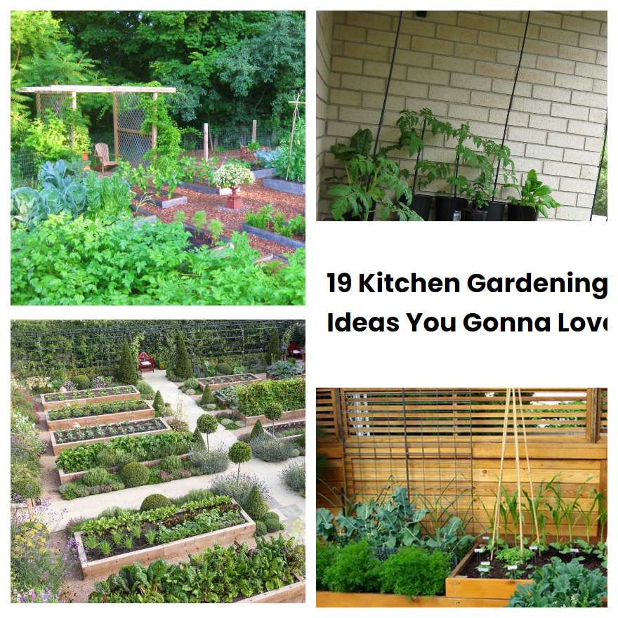 19 Kitchen Gardening Ideas You Gonna Love