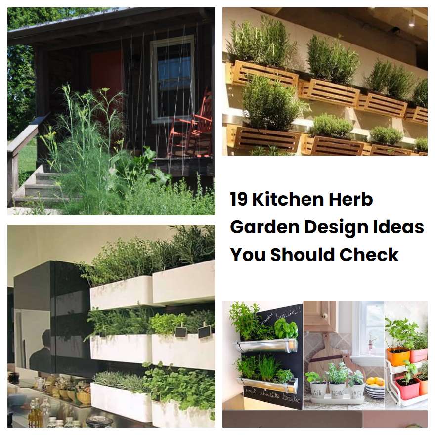 19 Kitchen Herb Garden Design Ideas You Should Check