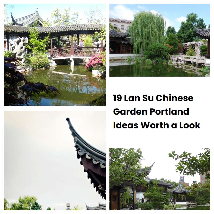 19 Lan Su Chinese Garden Portland Ideas Worth a Look