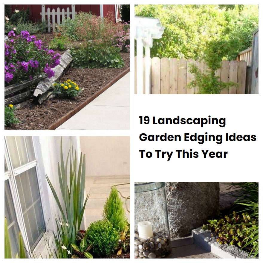 19 Landscaping Garden Edging Ideas To Try This Year