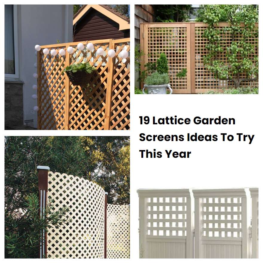 19 Lattice Garden Screens Ideas To Try This Year SharonSable