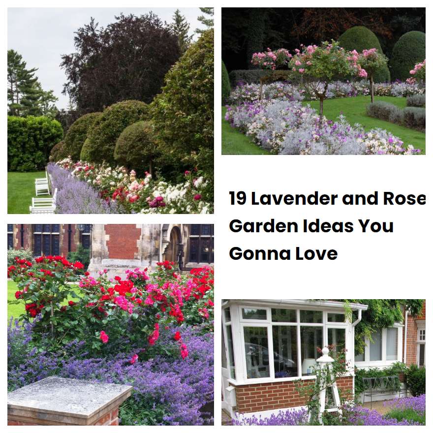 19 Lavender and Rose Garden Ideas You Gonna Love