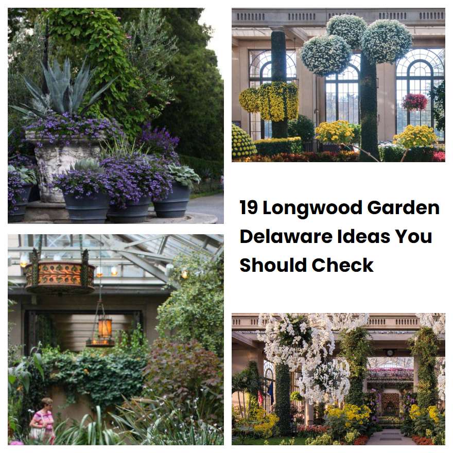 19 Longwood Garden Delaware Ideas You Should Check