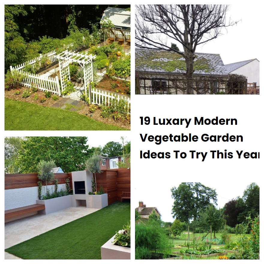 19 Luxary Modern Vegetable Garden Ideas To Try This Year
