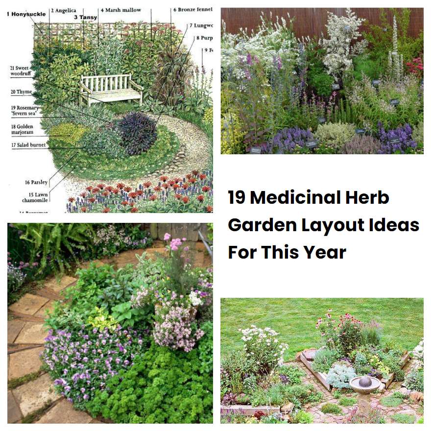 19 Medicinal Herb Garden Layout Ideas For This Year SharonSable 19 Medicinal Herb Garden Layout Ideas For This Year SharonSable