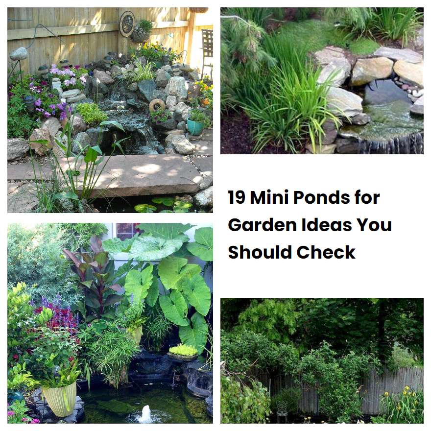 19 Mini Ponds for Garden Ideas You Should Check