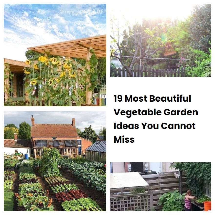19 Most Beautiful Vegetable Garden Ideas You Cannot Miss