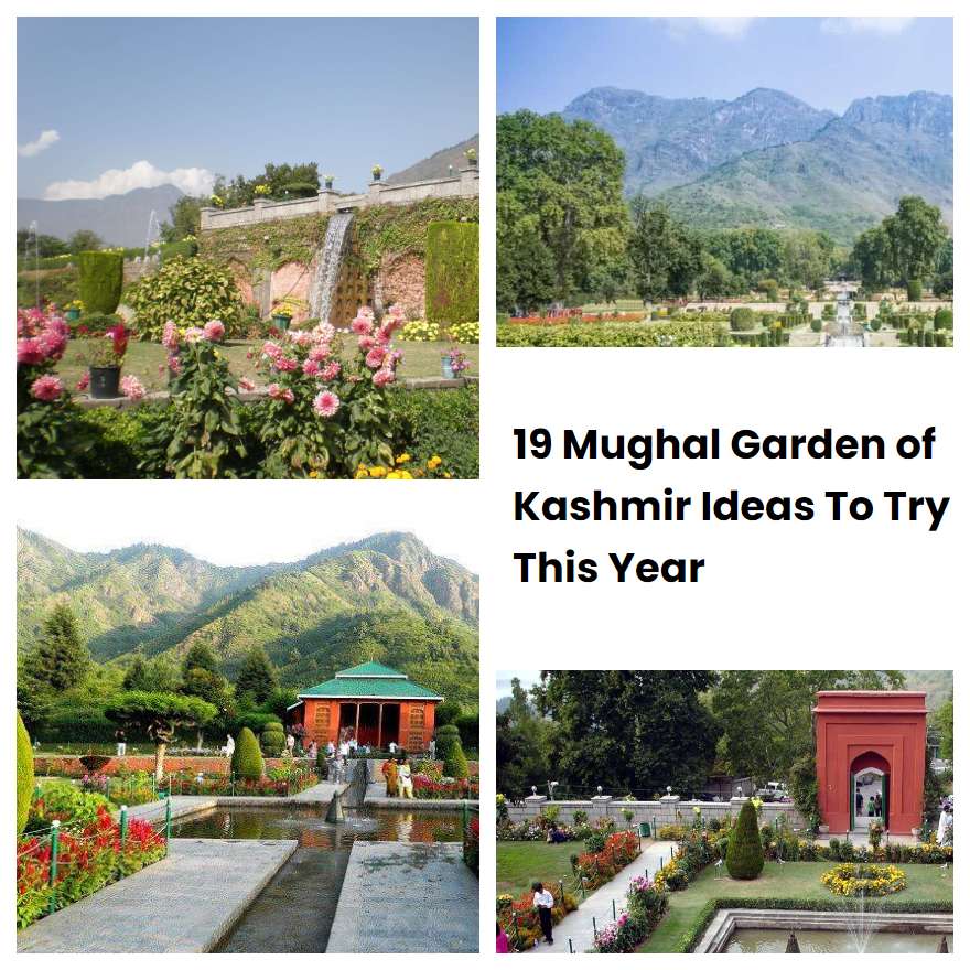 19 Mughal Garden of Kashmir Ideas To Try This Year