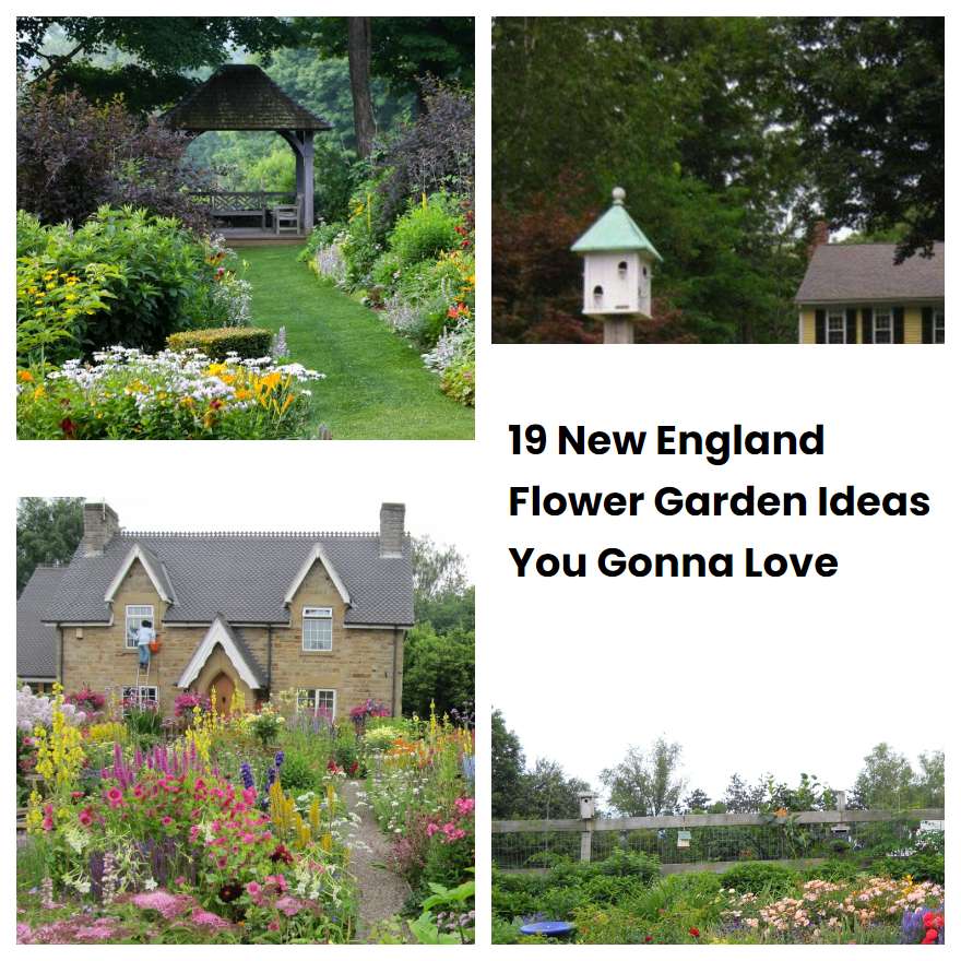 19 New England Flower Garden Ideas You Gonna Love SharonSable