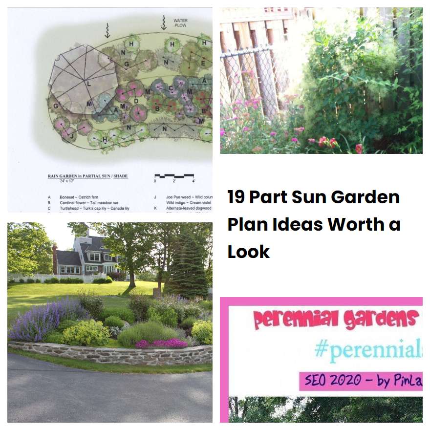 19 Part Sun Garden Plan Ideas Worth a Look