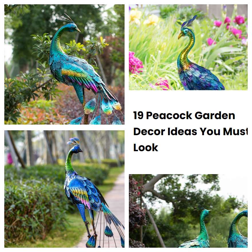 19 Peacock Garden Decor Ideas You Must Look SharonSable