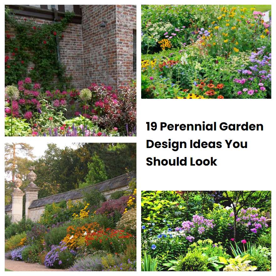 19 Perennial Garden Design Ideas You Should Look SharonSable