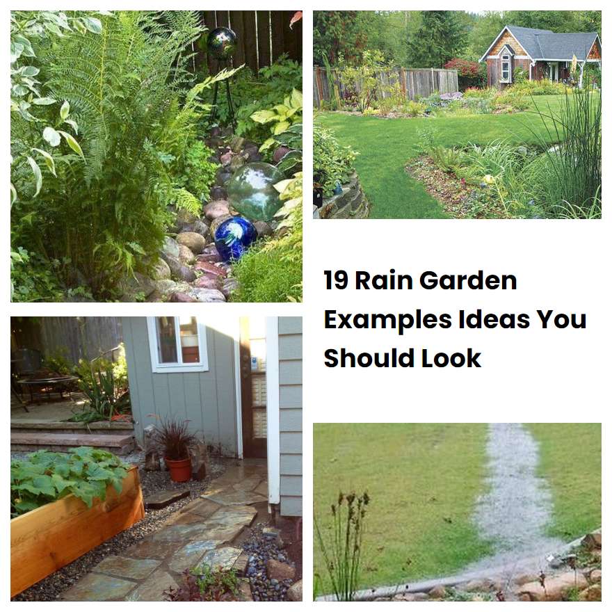 19 Rain Garden Examples Ideas You Should Look