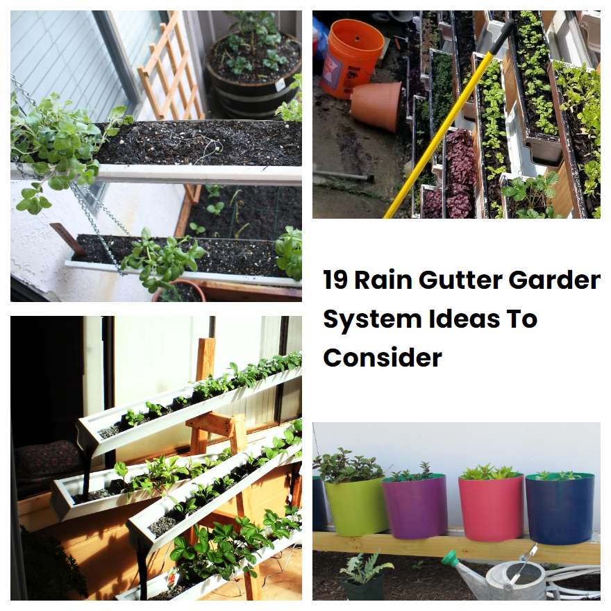 19 Rain Gutter Garden System Ideas To Consider SharonSable
