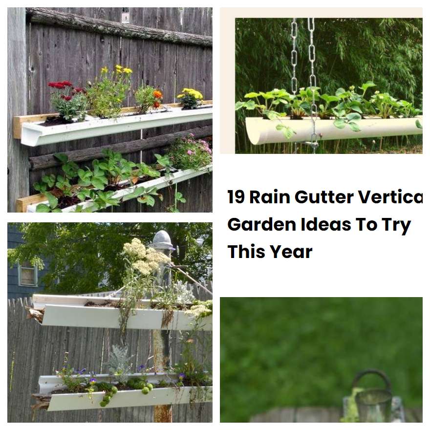 19 Rain Gutter Vertical Garden Ideas To Try This Year SharonSable