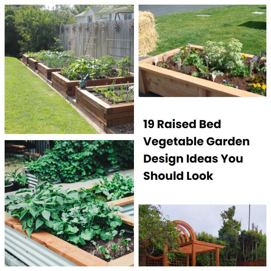 19 Raised Bed Vegetable Garden Design Ideas You Should Look