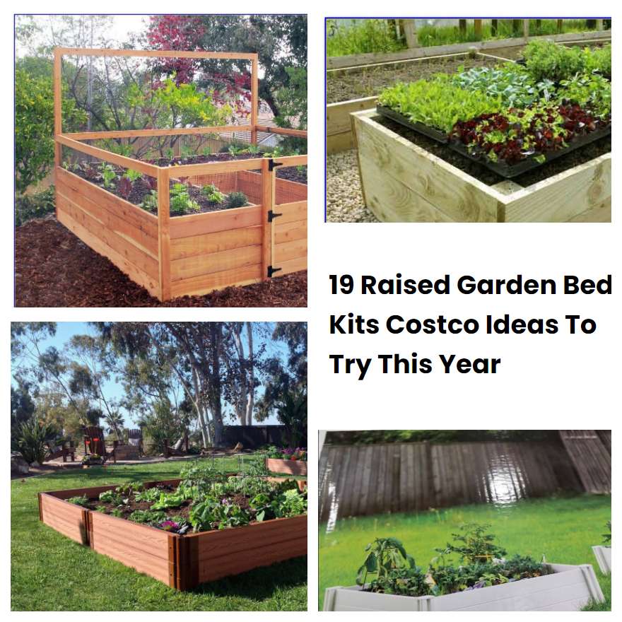 19 Raised Garden Bed Kits Costco Ideas To Try This Year SharonSable
