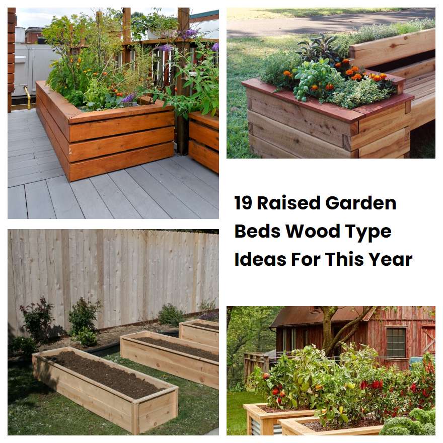 19 Raised Garden Beds Wood Type Ideas For This Year SharonSable