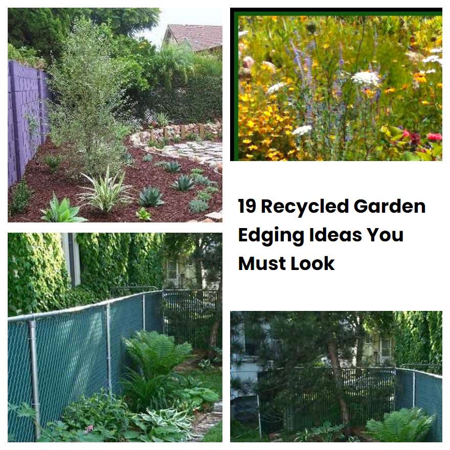 19 Recycled Garden Edging Ideas You Must Look SharonSable