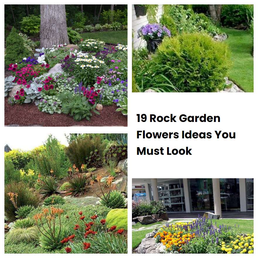 19 Rock Garden Flowers Ideas You Must Look