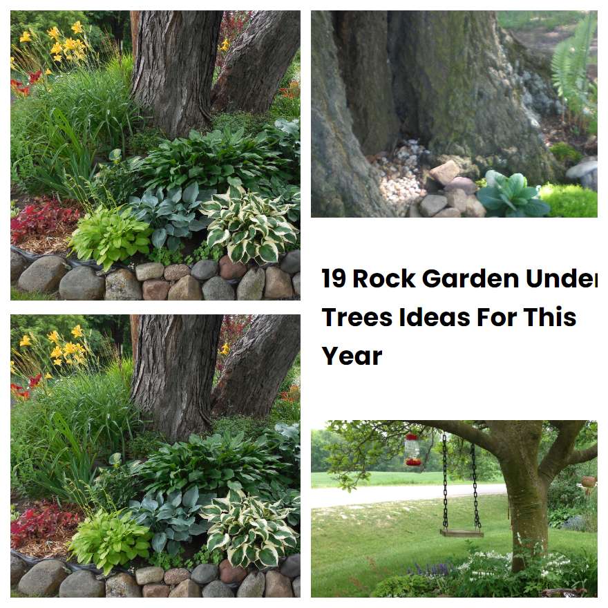 19 Rock Garden Under Trees Ideas For This Year SharonSable