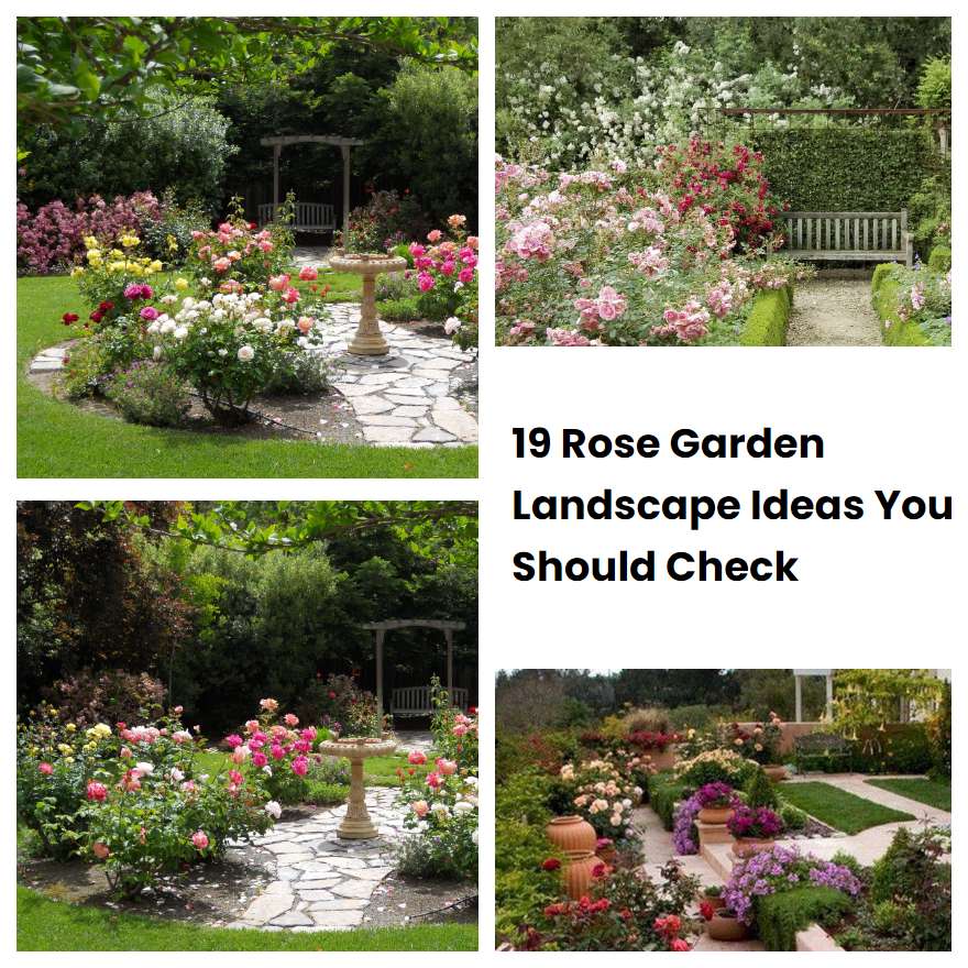 19 Rose Garden Landscape Ideas You Should Check