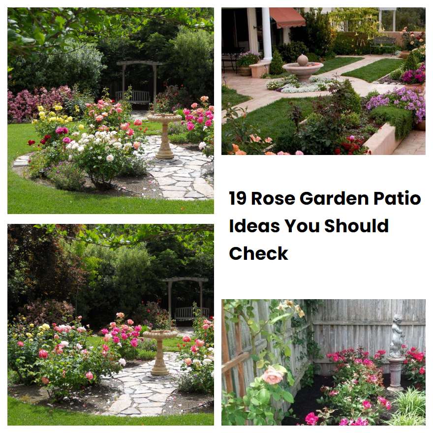 19 Rose Garden Patio Ideas You Should Check
