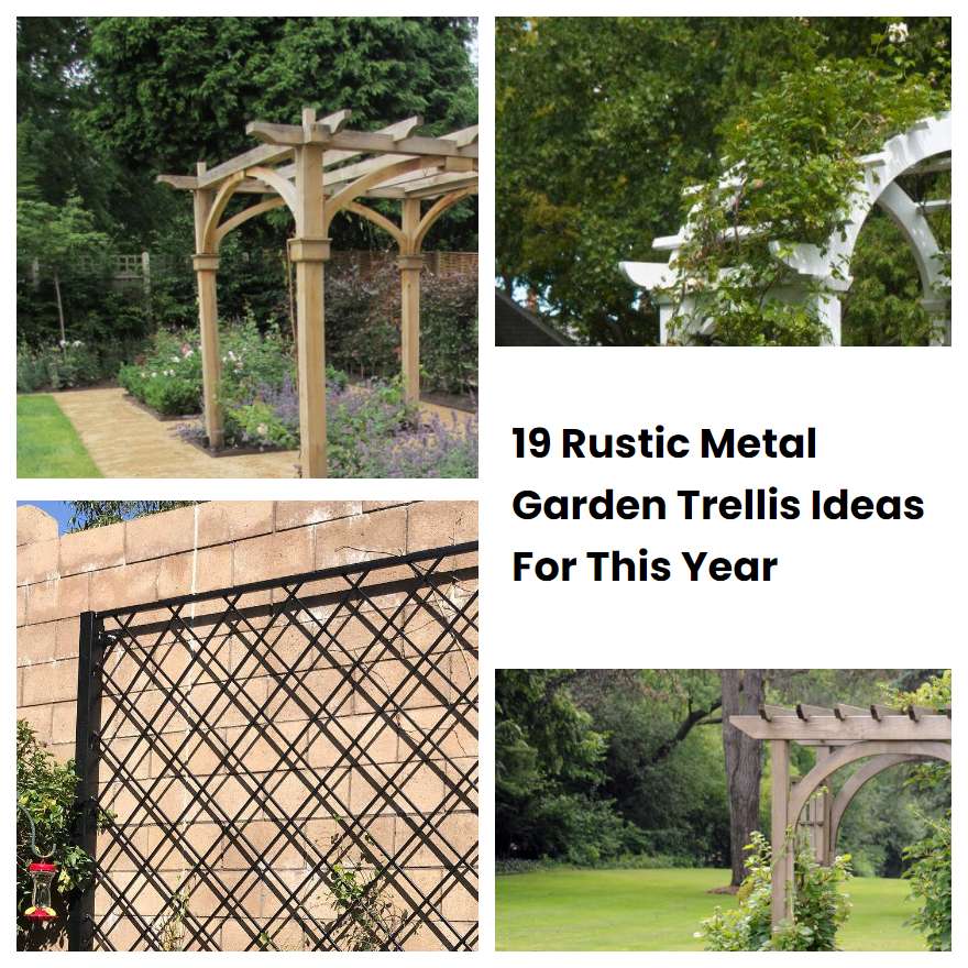 19 Rustic Metal Garden Trellis Ideas For This Year