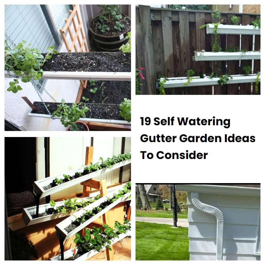19 Self Watering Gutter Garden Ideas To Consider