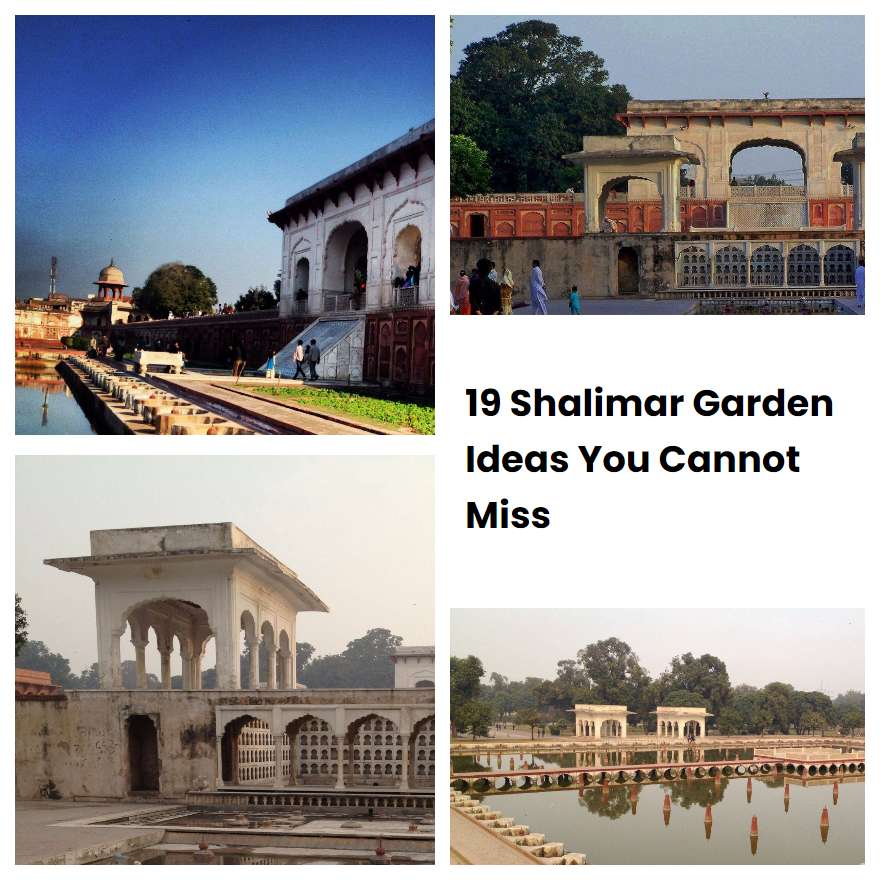 19 Shalimar Garden Ideas You Cannot Miss
