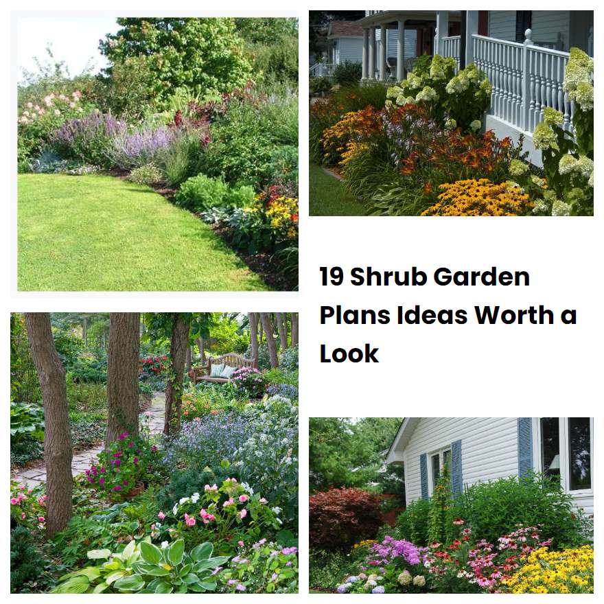 19 Shrub Garden Plans Ideas Worth a Look SharonSable