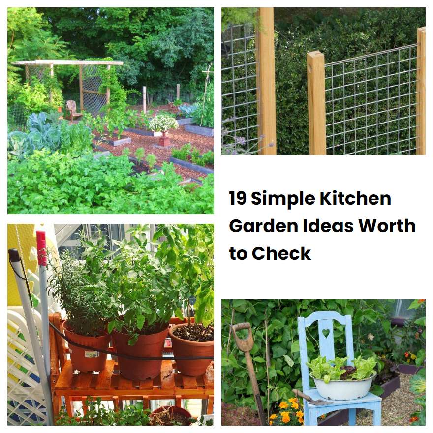 19 Simple Kitchen Garden Ideas Worth to Check SharonSable