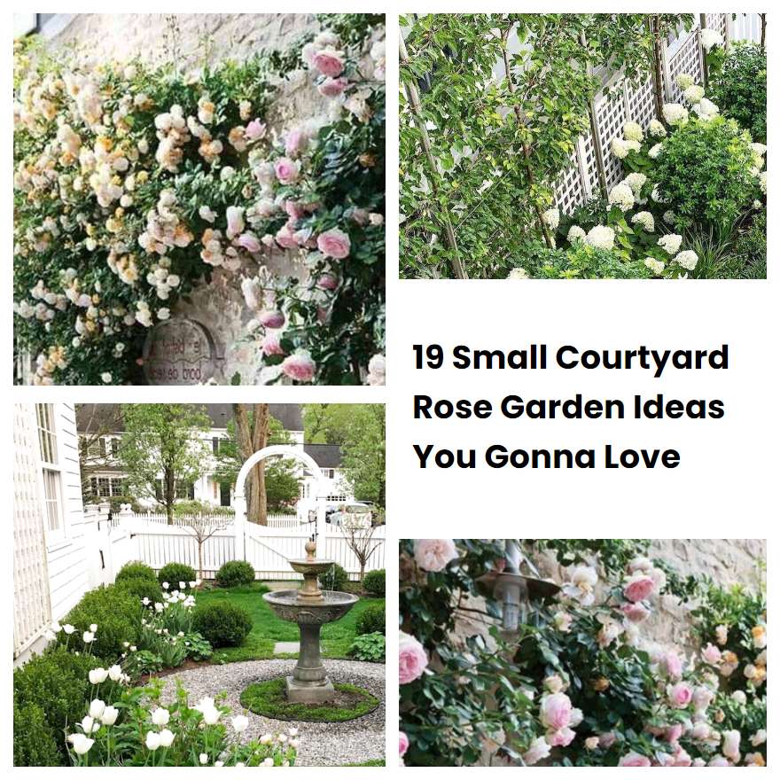 19 Small Courtyard Rose Garden Ideas You Gonna Love