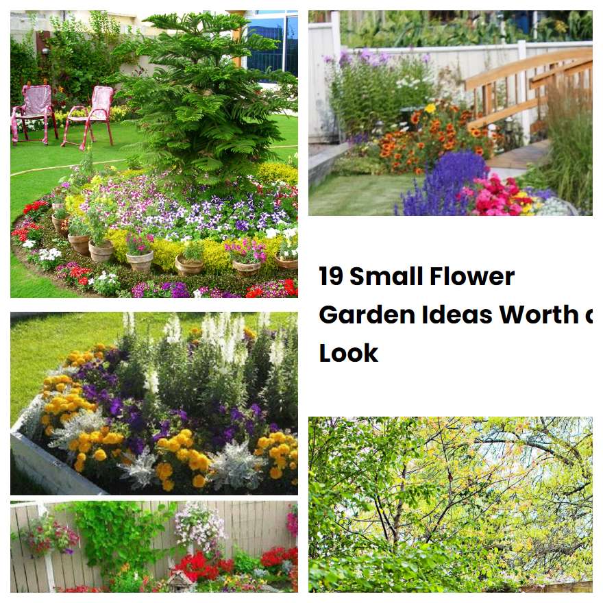 19 Small Flower Garden Ideas Worth a Look SharonSable