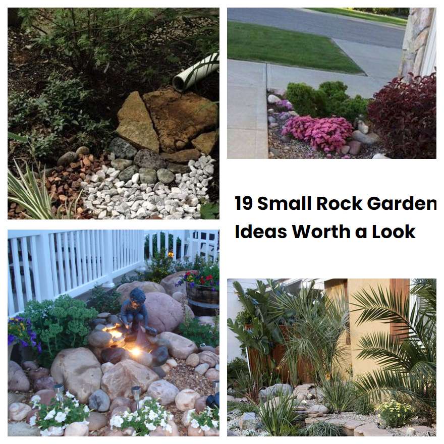 19 Small Rock Garden Ideas Worth a Look