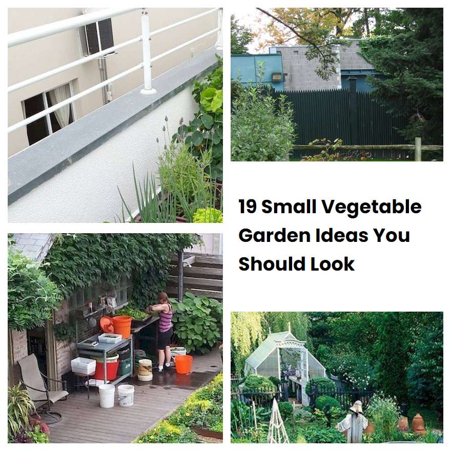 19 Small Vegetable Garden Ideas You Should Look