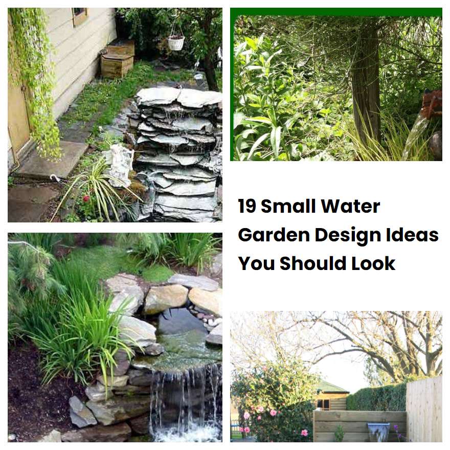 19 Small Water Garden Design Ideas You Should Look SharonSable