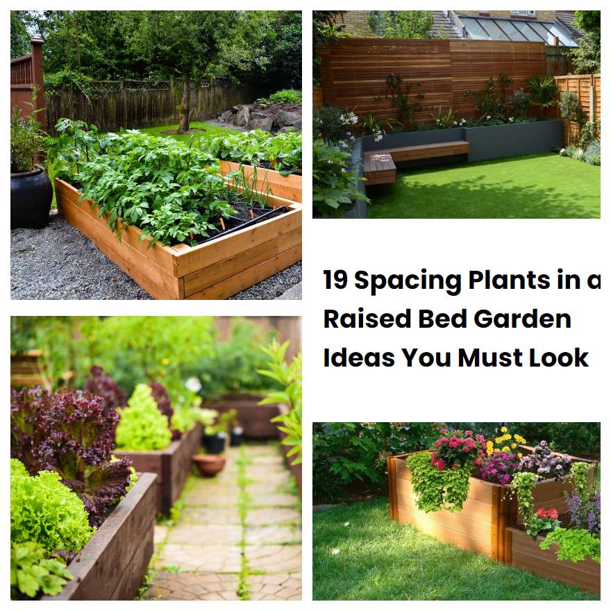 19 Spacing Plants in a Raised Bed Garden Ideas You Must Look SharonSable