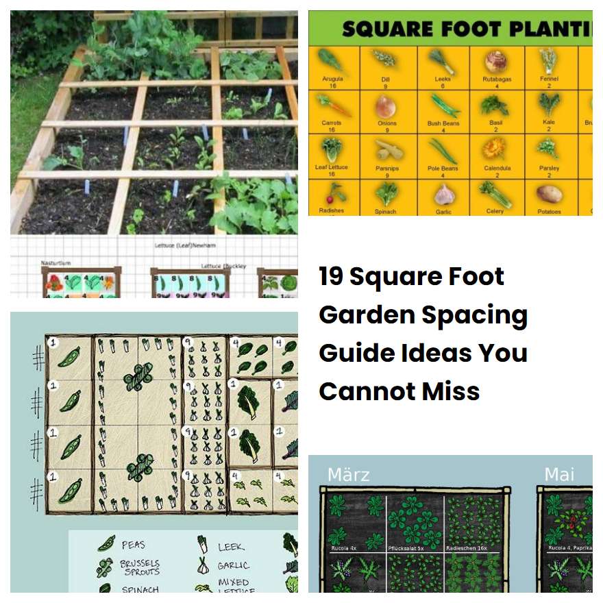 19 square foot garden spacing guide ideas you cannot miss sharonsable