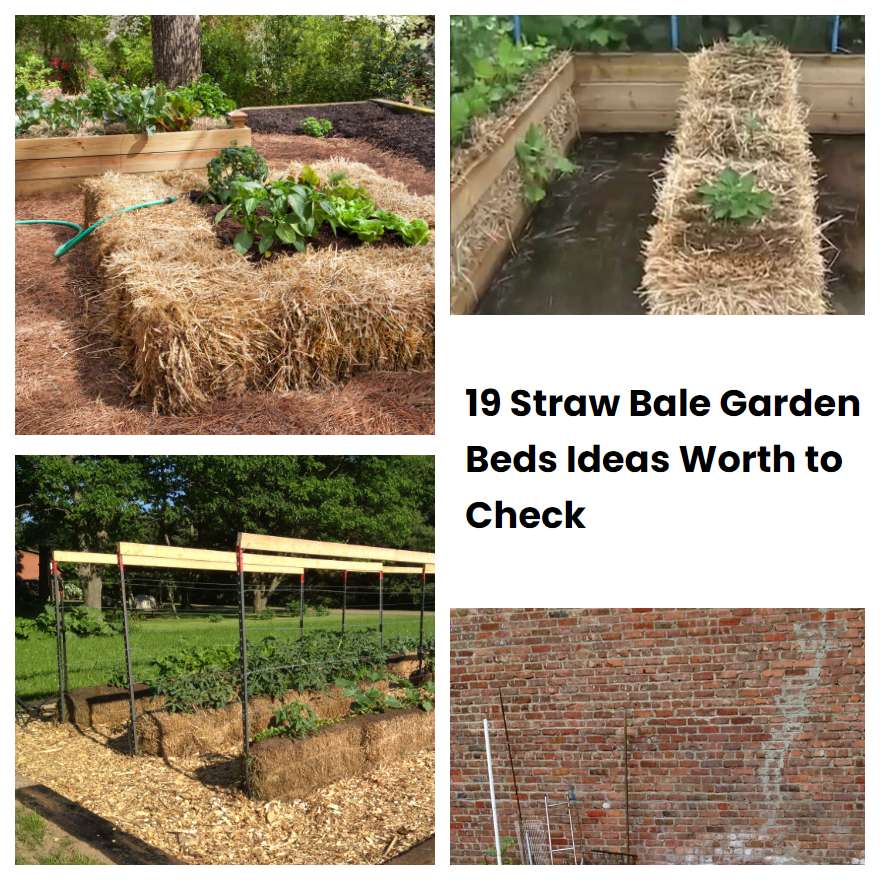 19 Straw Bale Garden Beds Ideas Worth to Check