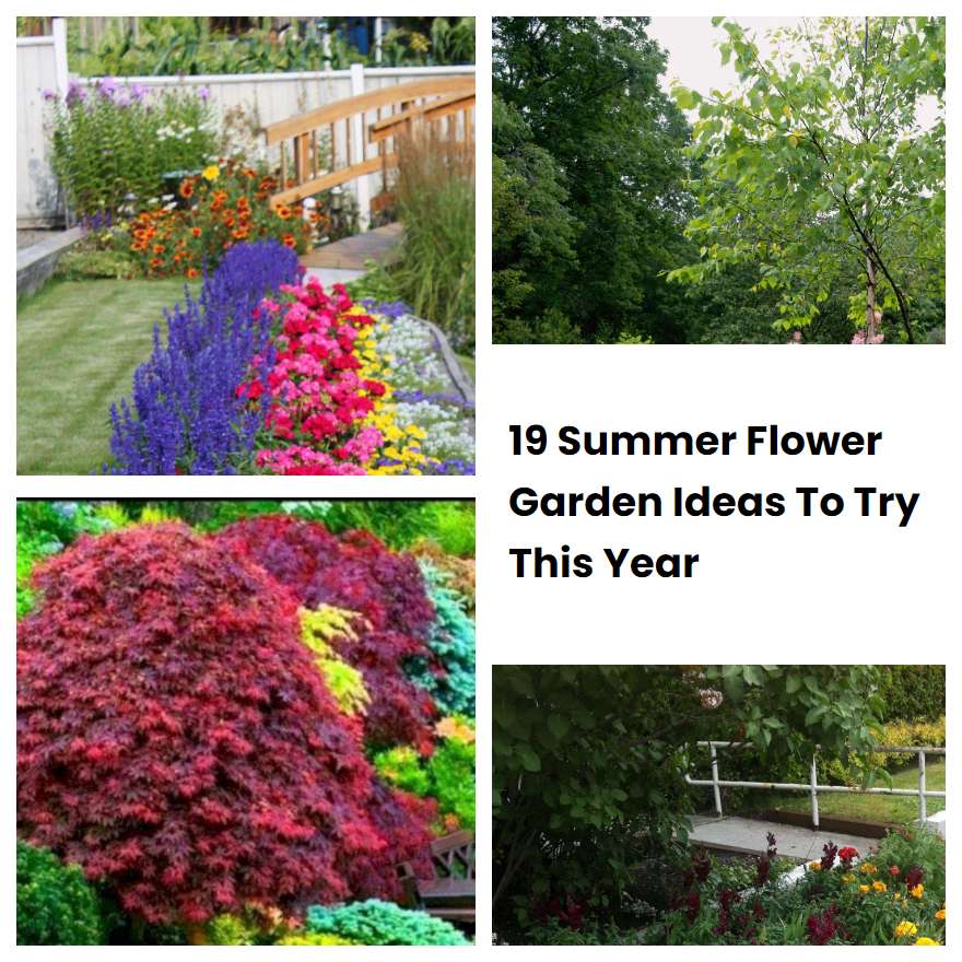 19 Summer Flower Garden Ideas To Try This Year