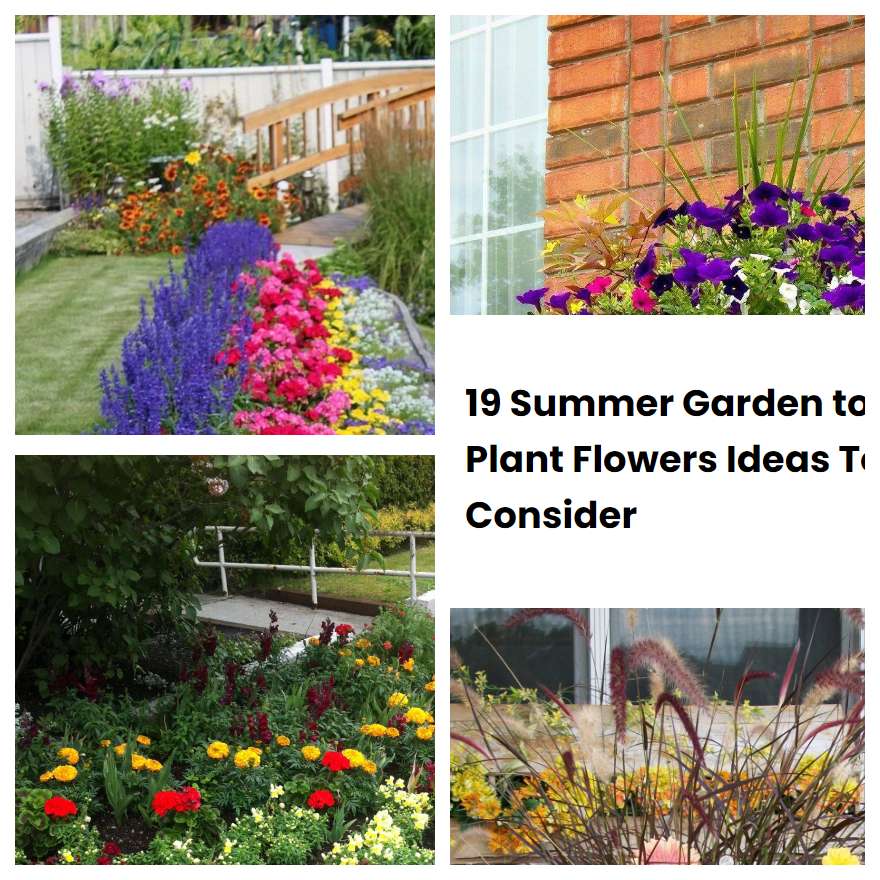 19 Summer Garden to Plant Flowers Ideas To Consider